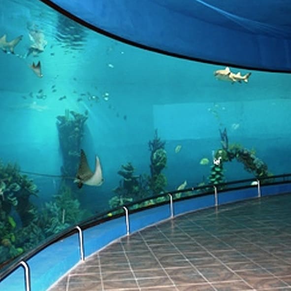 Visitar el Acuario – MAZATLÁN, PLAYAS